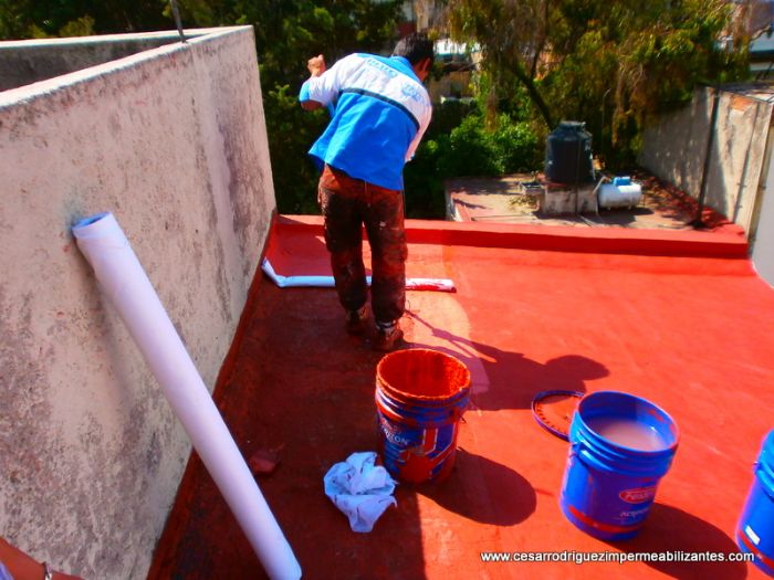 fester acriton - fester