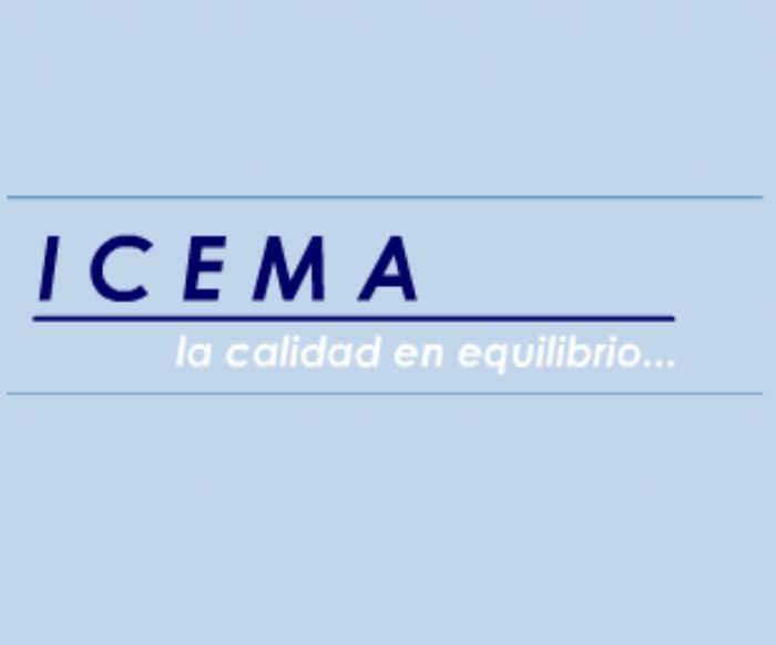 BITACORAS DE REGISTRO - ICEMA