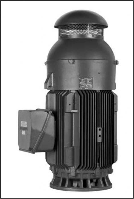 MOTORES VERTICAL FLECHA HUECA - SIEMENS Y US