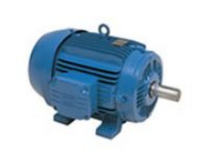 MOTORES ELECTRICOS TRIFASICOS DE BAJA Y MEDIA TENSION - POTENCIA ELECTROMECANICA