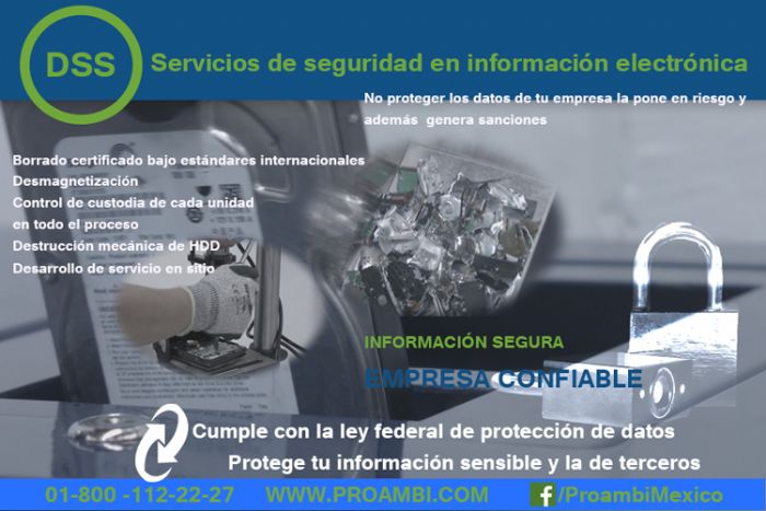 DSS Data Security Services - 