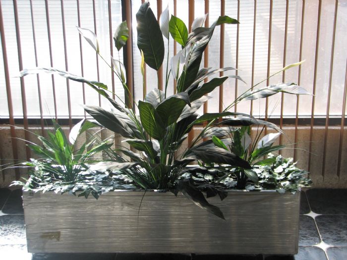 macetas acero inoxidable nuevas - laylo