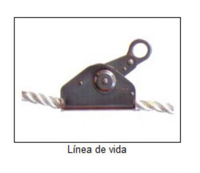 LINEAS DE VIDA - PROCARGA