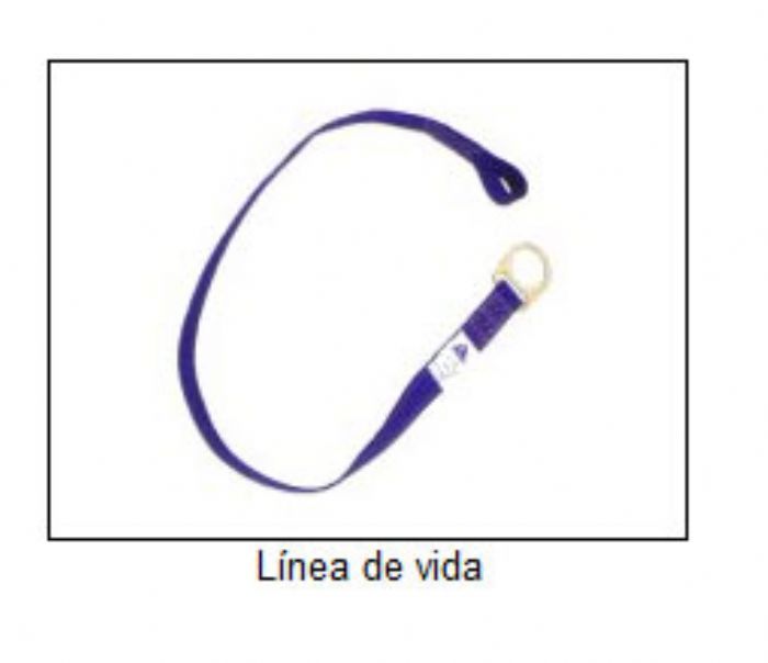 LINEA DE VIDA - PROCARGA