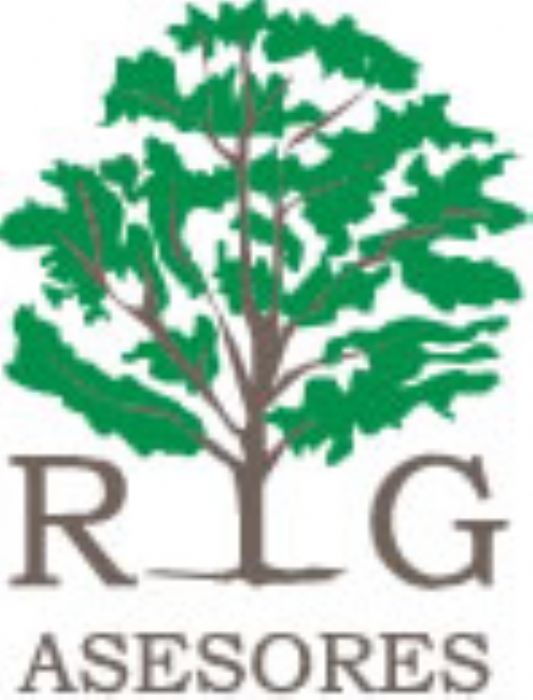 SEGURO VIDA GRUPO Y GASTOS MEDICOS MAYORES  - RG Asesores en Seguros - México