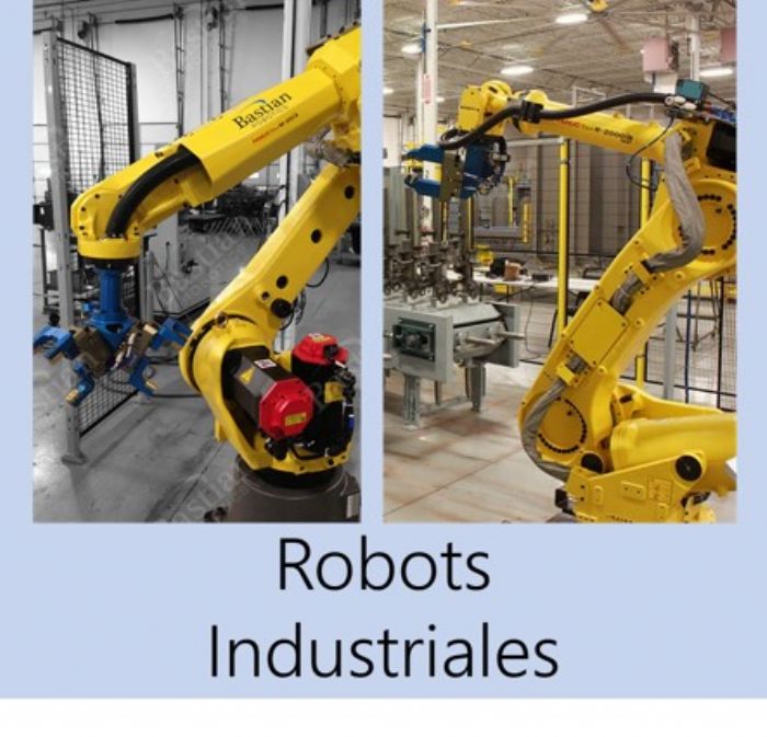 Robots Industriales  - Bastian Solutions 