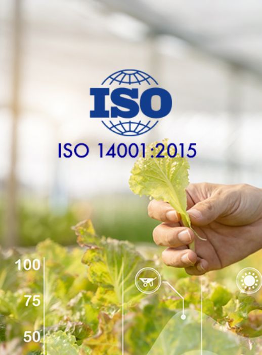 ISO 14001 - 