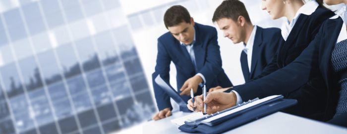 Servicios de Consultoría Empresarial - INEMEX