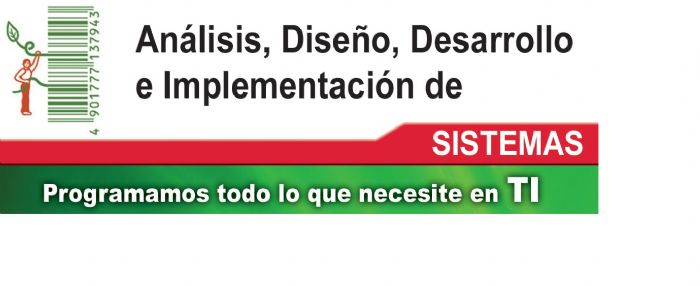 Desarrollo de sistemas a la medida - aeiSoft - Ingeniería de Software