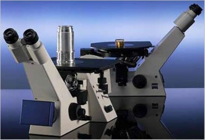 Microscopio - Zeiss