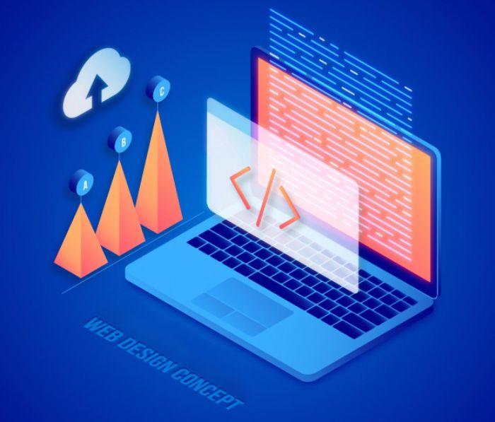 Paginas WEB - V-Training