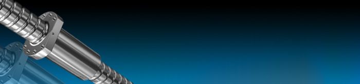 Husillos de bolas  - Shuton