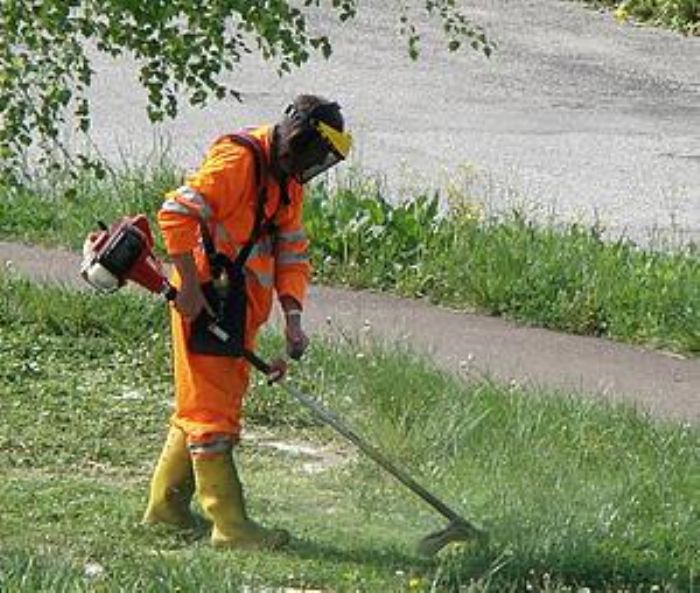 Jardineria - jardineria en general