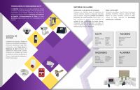 Sistemas de Seguridad - DAVTEK S.A. DE C.V