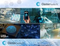 Software multiplataforma - 