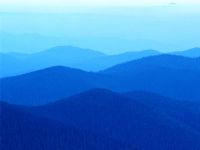 martillo electrico - rey martillo 