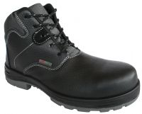 Borcegui INTREPID Deer - VAN VIEN