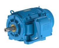 MOTORES WEG - POTENCIA ELECTROMECANICA