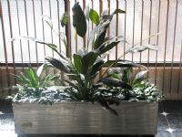 macetas acero inoxidable nuevas - laylo