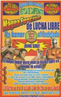 Funciones Privadas de Lucha Libre Profesional - RING SIDE Funciones Privadas de Lucha Libre
