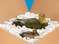 CACAHUATE BIODEGRADABLE