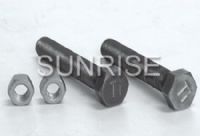 Titanium Screws and Nuts - 