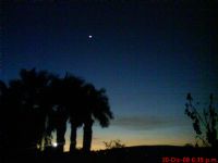 girasoles - el invernadero