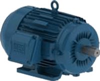 Motores eléctricos trifásicos, monofásicos y de CD