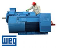 Motores de Media Tension