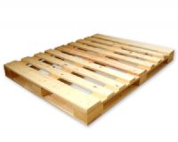 TARIMAS DE MADERA Y PLASTICO - Codi Empaques