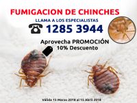 Fumigacion de chinches. - 